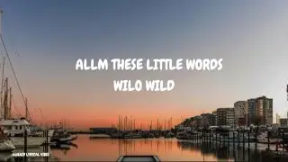 WILO WILD- ALL THESE LITTLE WORDS