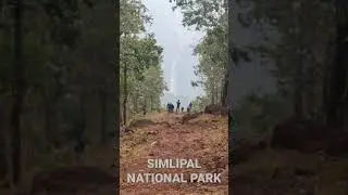 Simlipal national park barehipani waterfall#similipal #odisha