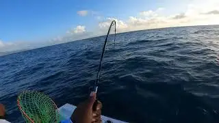 Jigging for dogtooth tuna South Mauritius 🇲🇺