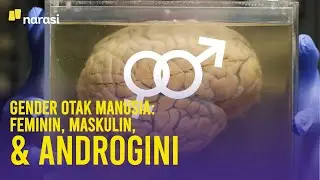 Feminin, Maskulin, Androgini: Otak Manusia Ternyata Punya Tiga Gender | Narasi Newsroom