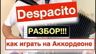 Despacito - Разбор как играть на аккордеоне с нуля  -  Бесплатный урок Аккордеона Деспасито