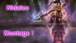 Nidalee Montage 1