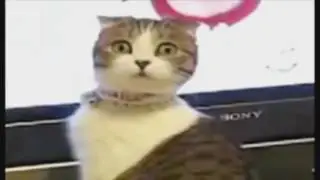 Leon da rage e Edu fica bravo