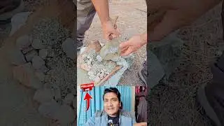 Amazing Natural Method to Filter Dirty Water Naturally #facts #woodscraft #hydrogencar #funny