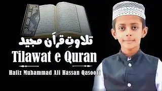 Beautiful Quran Recitation | Qari Ali Hussain Qasori | International Qari | القاری علی حسین قصوری 