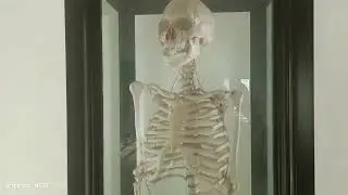 SNGCS Ezhukone Video 2025