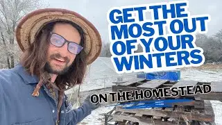 Homestead Planning for the Winter