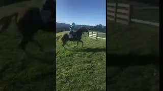 Jessie, Jumping a spar.