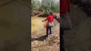How To Catch Fish With A Fishing Net #fishingtechniques #handfish #fishingtutorial #fishingline