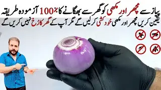 Best Remedy For Mosquito and Flies killer | Ghar say Machar or Makhi Bhagany ka Asan Tarika