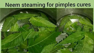 Neem leaves steaming for pimlpes cure/चेहरे पर नीम का भाप लेने के फायदे/Pimples care/Organic product