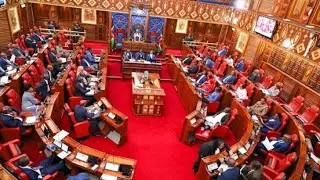 LIVE; FIREWORKS AS SENATORS DEBATE ON DOCTORS' STRIKE!