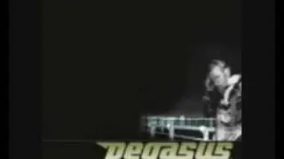 Pegz - Celebrate Daily