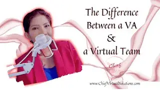 VA vs Virtual Team, What Founders Miss #VirtualAssistant #RemoteTeams #VirtualSolutions
