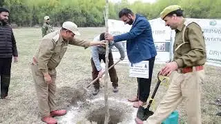 DC Ganderbal launches Chinar plantation drive under SVEEP at Biodiversity Park Daga Pora || AMC