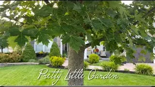GARDEN REVIEW 2024: Highlights & GARDEN GOALS for 2025! | My Year on YouTube!