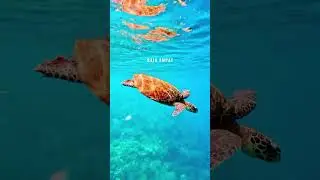 ✨The paradise you&rsquo;ve never heard about #travel #travelawesome