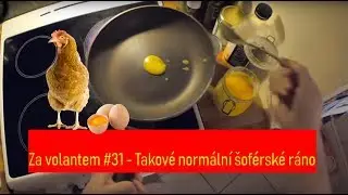Za volantem #31 - Takov&eacute; norm&aacute;ln&iacute; &scaron;of&eacute;rsk&eacute; r&aacute;no
