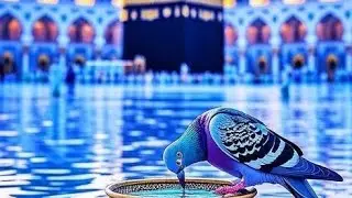 Lo-Fi voice-(Studying📚/Sleeping) Islamic Music :No Copyright (Vocals Only):Islamic Audio Library #36