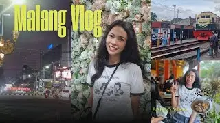 Malang Vlog 🌄 Sunrise View Gunung, Bakso Viral & Cafe Aesthetic