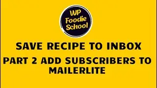 Part 2. How to set up the integration connection with Mailerlite and Fluent Forms
