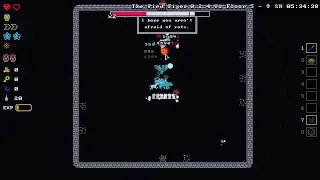 Tiny Rogues Final Boss (Glitchless) Speedrun in 12:46.54