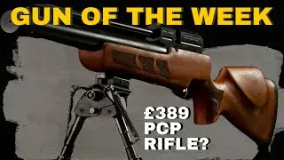This PCP Air Rifle Costs &pound;389 &ndash; But Looks & Feels Premium