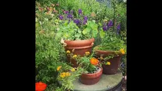Lunchtime Tour: Cut Flower Garden