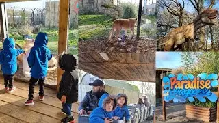 London zoo or paradise wildlife park | A unique attraction in Hertfordshire | Part 1