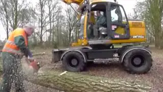 houtkap in Den Ham