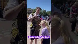 A magical experience in Walt Disney Worlds Magic Kingdom, getting Pixie Dusted!