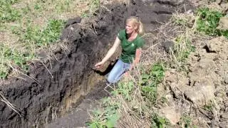 Planting Green for Improved Soil Health 1