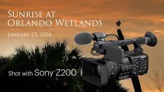 Sunrise at Orlando Wetlands - Wildlife video shot with Sony Z200