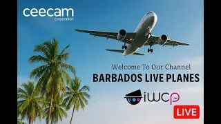 Live Barbados Airport - Jan 12th 2026