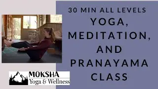 Mid-day short immunity boosting yoga, pranayama, and meditation practice
