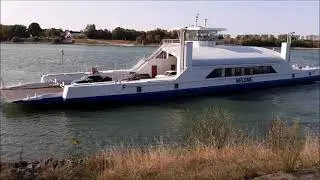 Gernsheim am Rhein.
