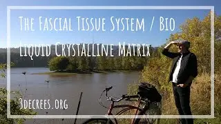 The Fascial Tissue System / Bio Liquid Crystalline Matrix 5/2/20