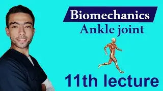 شرح ال Biomechanics of ankle joint (part 1)