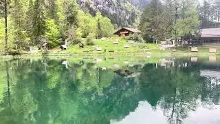 Blausee Lake, Switzerland