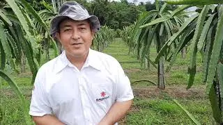 Sitio Sawada | Hist&oacute;rias do In&iacute;cio III