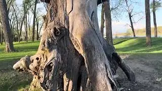 Lewis and Clark State Park, Onawa, Iowa mp4