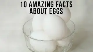 10 Amazing Facts About Eggs