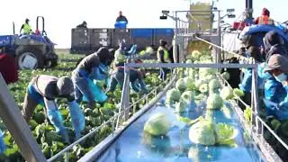 H2A Program  -  Employee Testimonials