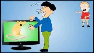 Video Marketing Services