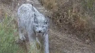 𝐖𝐡𝐞𝐧 𝐲𝐨𝐮 𝐭𝐡𝐨𝐮𝐠𝐡𝐭 𝐲𝐨𝐮'𝐝 𝐬𝐞𝐞𝐧 𝐢𝐭 𝐚𝐥𝐥...