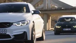 Mike Williams & DTale &mdash; Living On Video