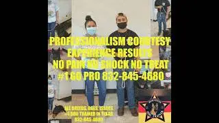 PROFESSIONAL DOG TRAINING IN HOUSTON 8328454680