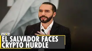 World Bank won't help El Salvador in Bitcoin implementation | Business and Economy | English News