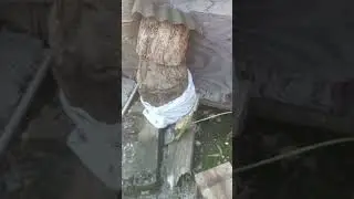transfer&ecirc;ncia de mirim Emerina feito 😍🙏