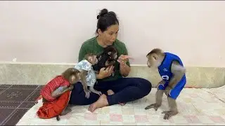 OMG!! Mom Finger Pointed To Stop Naughty Brother Sovan Not To Chase 3 Sisters Away From Mom ,